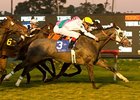 Citation winner Lang Field faces Daytona in the San Gabriel.<br><a target="blank" href="http://www.bloodhorse.com/horse-racing/photo-store?ref=http%3A%2F%2Fpictopia.com%2Fperl%2Fgal%3Fprovider_id%3D368%26ptp_photo_id%3D2853196%26ref%3Dstory">Order This Photo</a>
