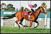 Two-time Turf Champion Flawlessly Dead Two-time Turf Champion Flawlessly Dead