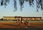 NYRA, Casino Firm Have Aqueduct Dining Deal NYRA, Casino Firm Have Aqueduct Dining Deal