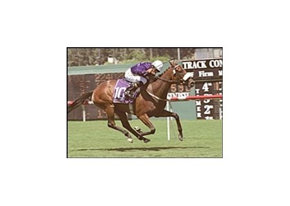 Dimitrova, Breeders' Cup bound.