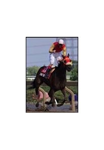 Dancethruthedawn upholds a family tradition by winning the Queen's Plate, a race won by her mother and brother.