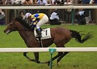Logi Universe winning the Japan Derby.