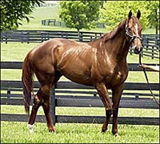 Millionaire Congaree Retired Millionaire Congaree Retired