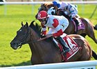 Big Blue Kitten has finished either first or second in all his starts this year.<br><a target="blank" href="http://photos.bloodhorse.com/AtTheRaces-1/At-the-Races-2015/i-RXL2Q5h">Order This Photo</a>