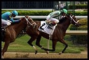 Spain Sets New Distaff Earnings Mark With Grade II Win Spain Sets New Distaff Earnings Mark With Grade II Win