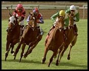Santa Anita Race Report: A Star Reborn Santa Anita Race Report: A Star Reborn