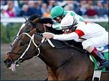 Bridgmohan, Aboard Gaff, Sweeps Gulf Stakes Bridgmohan, Aboard Gaff, Sweeps Gulf Stakes