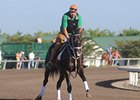 KY Derby Still Possibility for Sweet Ducky KY Derby Still Possibility for Sweet Ducky
