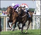 Murtagh Lands Three Ascot Winners Murtagh Lands Three Ascot Winners