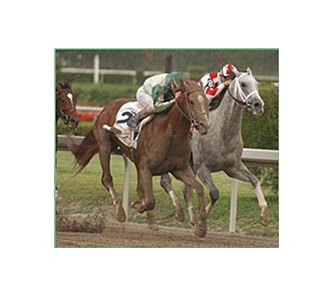 Florida Derby winner Friends Lake among Belmont hopefuls in this weekend's Peter Pan Stakes.