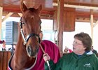 Funny Cide to Appear at Ellis Park Opener Funny Cide to Appear at Ellis Park Opener