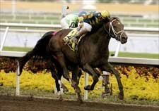Harlington's Talent Apparent in Gulfstream 'Cap Win Harlington's Talent Apparent in Gulfstream 'Cap Win