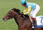 Marcavelly will enter stud at John Burness' Colebrook Farms Stallion Station near Uxbridge, Ontario, Canada.