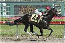 Eurosilver Victorious in 3-Year-old Debut at Gulfstream Eurosilver Victorious in 3-Year-old Debut at Gulfstream