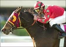 Jungle Prince Pounces in Hollywood Turf Express Jungle Prince Pounces in Hollywood Turf Express