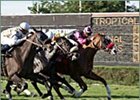 Tropical Park Derby, Oaks Top New Year's Day Card at Calder Tropical Park Derby, Oaks Top New Year's Day Card at Calder