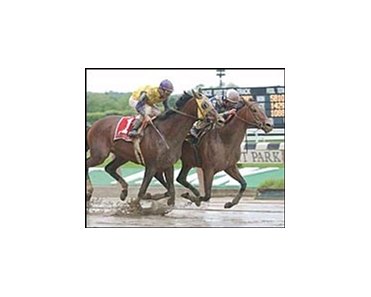 Aldebaran holds off Saarland (1) in the Metropolitan.