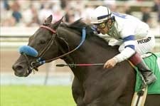 Murray Handicap Next for On The Acorn Team Murray Handicap Next for On The Acorn Team