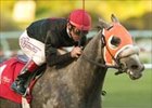 Underwood winner Sailors Sunset will be back on track Saturday in the L.A. Handicap.