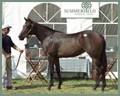 Midlantic Sale Posts Solid Numbers Midlantic Sale Posts Solid Numbers