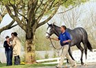 Keeneland April 2YOIT sale 2011.