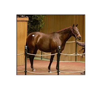 Helsinki and weanling daughter lead Wednesday session.