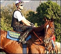 Haskin's Classic Report: Baffert Counting Down the Days Haskin's Classic Report: Baffert Counting Down the Days