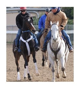 Rachel Alexandra has been at Fair Grounds since last week.