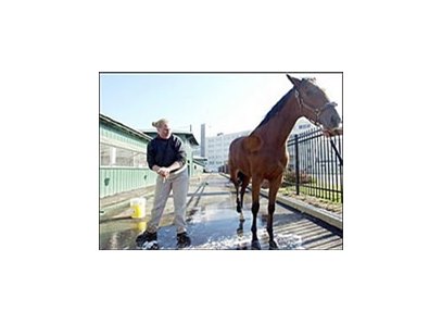 Winter closure would send some Pimlico backstretch workers to other tracks and leave many unemployed.