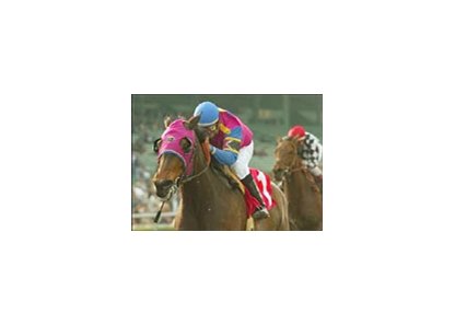 Starrer carries jockey Patrick Valenzuela to victory in the Santa Maria Handicap Sunday at Santa Anita.