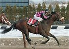 Country Be Gold, ridden by Jose Espinoza, wins the the Aqueduct Handicap.