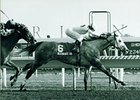 Grade II Winner Degenerate Gal Dies Grade II Winner Degenerate Gal Dies