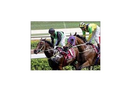 Bullish Luck, right, beats Silent Witness to win the Champions Mile at the Sha Tin racecource in Hong Kong on Saturday.