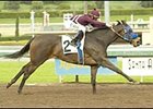 Healthy Addiction, winning the Paseana Stakes.