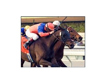 Silver Cup and Victor Espinoza, outside, battle to the wire with Ticker Tape to win the San Gorgonio Handicap.