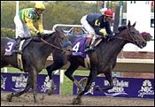 Storm Flag Flying to Debut Friday in Comely Storm Flag Flying to Debut Friday in Comely