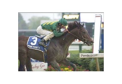 Mineshaft seeks third straight Grade I win Saturday.