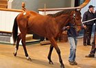 Five Six-Figure Yearlings at Tattersalls Five Six-Figure Yearlings at Tattersalls