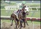 In Stunner, Officer Entered in Cal Cup Juvenile; Stevens to Ride In Stunner, Officer Entered in Cal Cup Juvenile; Stevens to Ride
