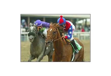 Horse of the Year Azeri scores 10th straight win.