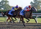 Stephanie's Kitten won the 2011 Darley Alcibiades Stakes, at the 1 1/16-mile Ashland distance.
