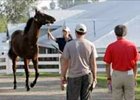 Market Correction Expected to Continue at Keeneland Market Correction Expected to Continue at Keeneland