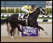 Aqueduct Racing Report: Fever Pitch Aqueduct Racing Report: Fever Pitch