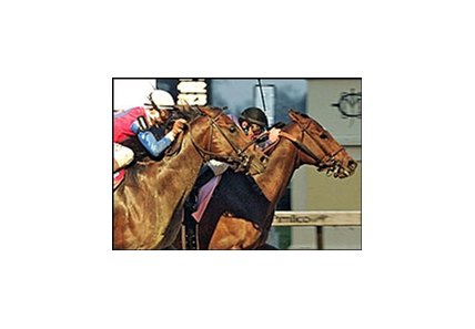 Wildcat Heir digs in along the rail to win the De Francis Dash, Saturday at Pimlico.