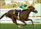 Showing Up Good as Billed in Hollywood Derby Showing Up Good as Billed in Hollywood Derby