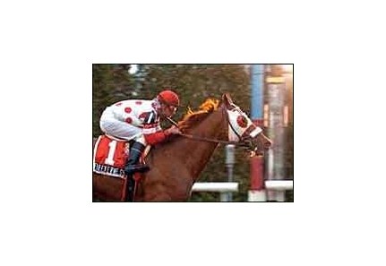 Foreverness wins Fort Marcy, Saturday at Aqueduct.