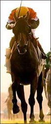 Oak Tree Derby: Augment Adapts to Grass for Gallagher Oak Tree Derby: Augment Adapts to Grass for Gallagher