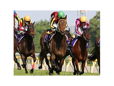 Buena Vista got past Hikaru Amaranthus to register a neck victory in the Victoria Mile at Tokyo Racecourse.<br><a target="blank" href="http://www.bloodhorse.com/horse-racing/photo-store?ref=http%3A%2F%2Fpictopia.com%2Fperl%2Fgal%3Fprovider_id%3D368%26ptp_photo_id%3D8960009%26ref%3Dstory">Order This Photo</a>