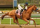 Misremembered in the 2011 Santana Mile Stakes.
<br><a target="blank" href="http://www.bloodhorse.com/horse-racing/photo-store?ref=http%3A%2F%2Fpictopia.com%2Fperl%2Fgal%3Fprovider_id%3D368%26ptp_photo_id%3D9433638%26ref%3Dstory">Order This Photo</a>