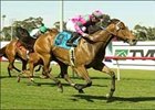 Charm The Giant and Michael Baze come late on the outside to win the Wilshire Handicap, Wednesday at Hollywood Park.<br><a target="blank" href="http://www.bloodhorse.com/horse-racing/photo-store?ref=http%3A%2F%2Fpictopia.com%2Fperl%2Fgal%3Fprovider_id%3D368%26ptp_photo_id%3D1068451%26ref%3Dstory">Order This Photo</a>
